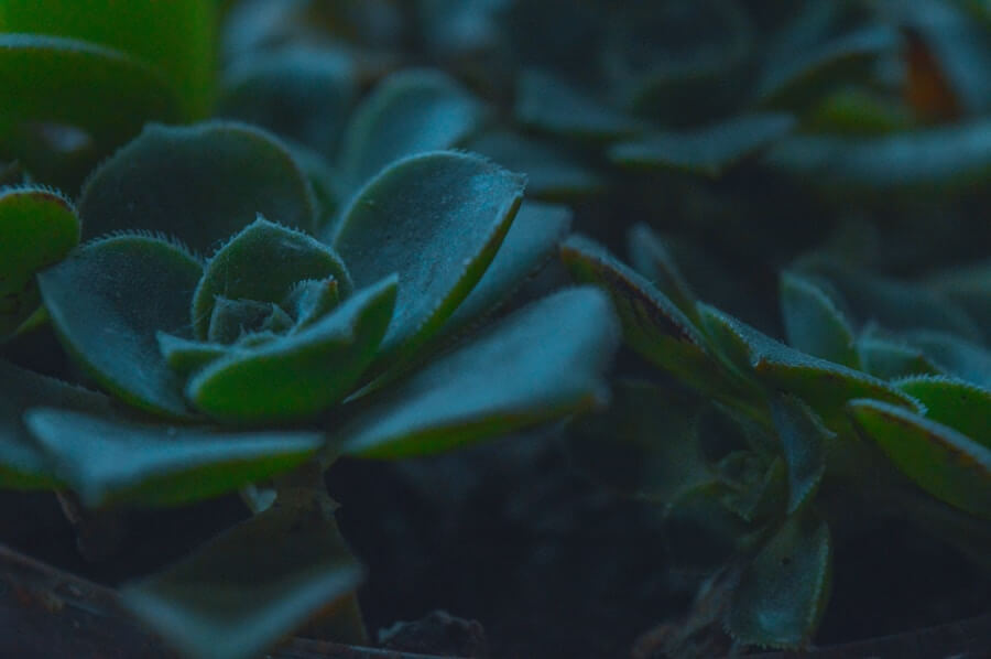 Mehr über den Artikel erfahren Effektives Lead Nurturing durch E-Mail Marketing