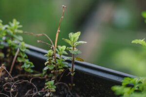 Mehr über den Artikel erfahren Best Practices für die Lead-Nurturing-Strategie