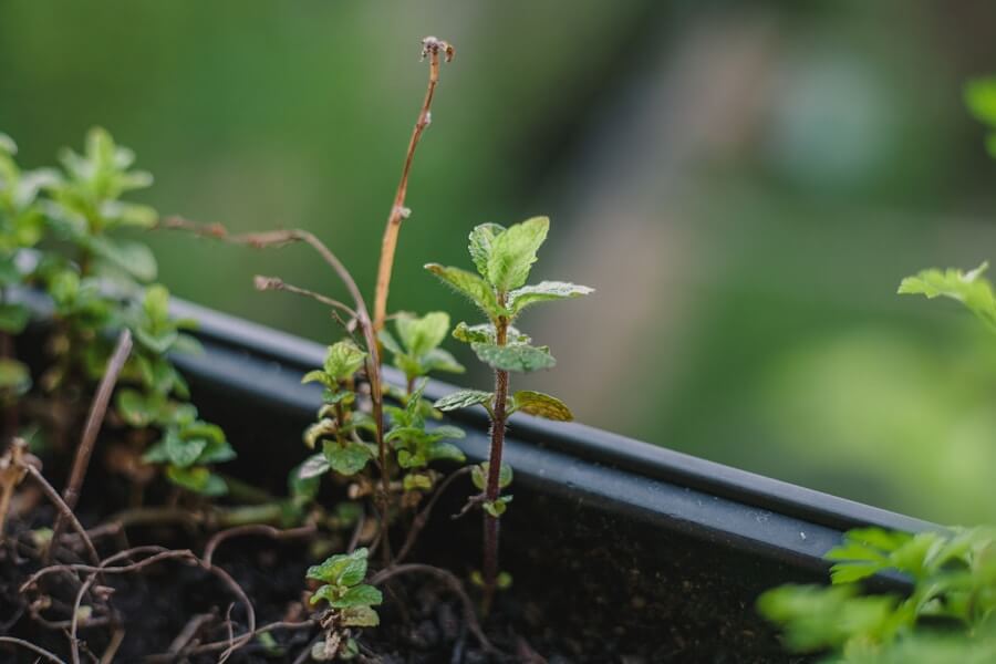 Mehr über den Artikel erfahren Best Practices für die Lead-Nurturing-Strategie