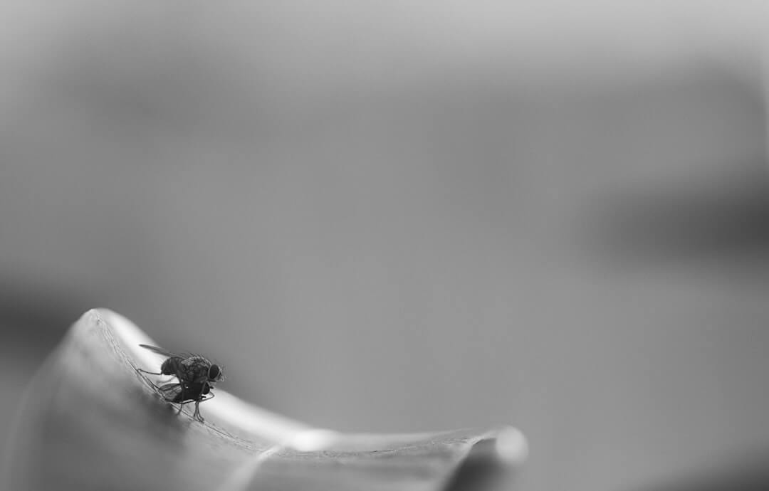 Mehr über den Artikel erfahren Warum Zoho CRM mehr ist als nur eine Datenbank